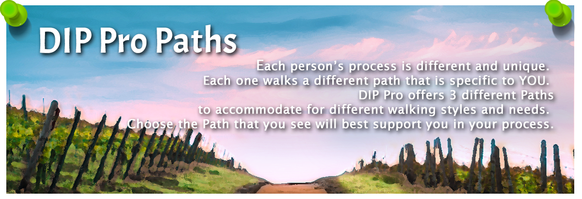 DIP Pro Paths